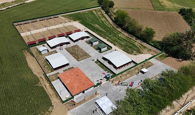 Güney Marmara'nın en modern hayvan bakım evi Yenişehir'e açıldı