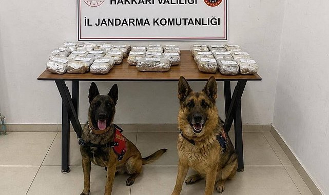 Hakkari'de 21 kilo 650 gram toz esrar ele geçirildi
