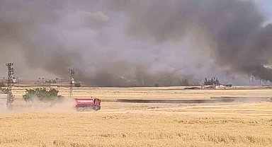 Harran'da yüzlerce dönümlük ekili arazi yandı