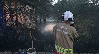 Hassa'da çamlık alan yangını