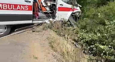 Hasta taşıyan ambulans yoldan çıkarak yeşillik alana savruldu