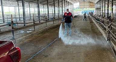 Havran'da kurban bayramı sonrası biyogüvenlik önlemi