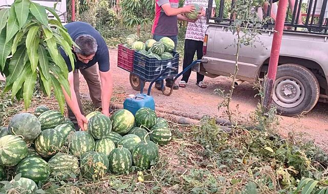 Hayırsever çiftçinin tarlası bu yıl öğrencilerin için hasat edildi