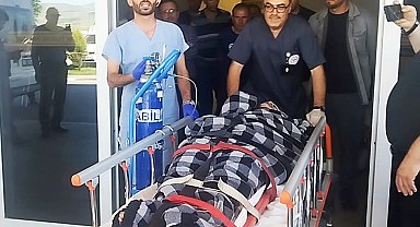 Hayvanlarını otlatırken ayı saldırısına uğradı, Kangallar imdadına yetişti