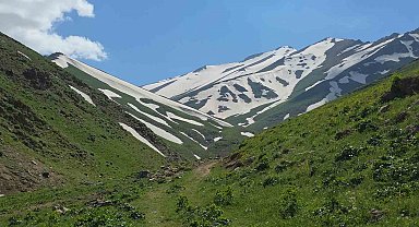 Haziran ayında karda kayıp kartopu oynadılar