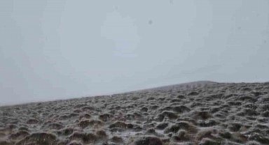 Haziranda yağan kar Süphan Dağı'nı beyaza bürüdü