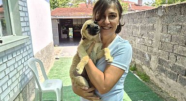 İki gönüllünün şefkat eli yüzlerce sokak hayvanına ulaşıyor