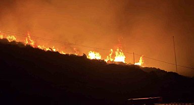 İzmir'de makilik alanda yangın