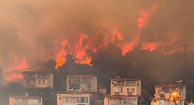 İzmir'de makilik alandaki yangın kontrol altında