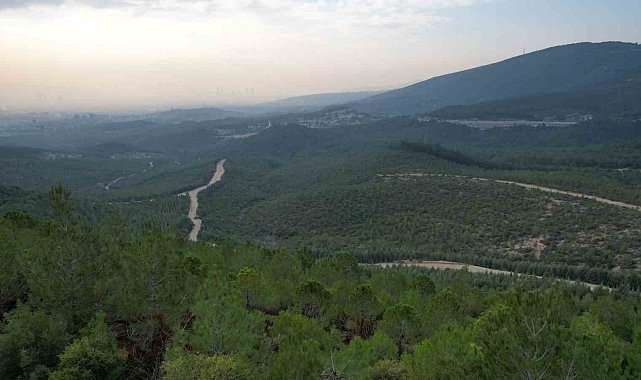 İzmir'de ormanlara giriş yasağı başladı