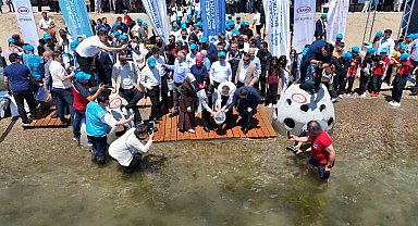 İzmit Körfezi'ne 6 bin yeni misafir