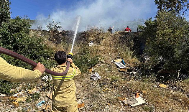 İzmit'te ağaçlık alanda yangın