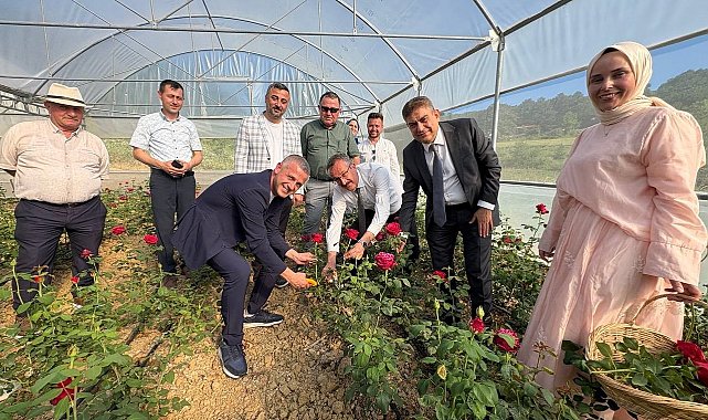 Kadın girişimci hibe desteğiyle Kocaeli'nin ilk gül serasını kurdu