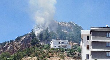 Kahramanmaraş'ta orman yangını