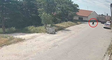 Kamyonun çarptığı yaşlı kadın hayatını kaybetti: Feci kaza kamerada