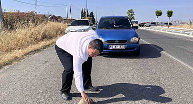 Kaplumbağayı ezilmekten kurtardı