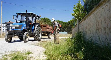 Karaali'de yol kenarları temizlendi