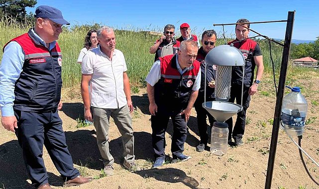 Karabük'te safran üretim alanlarında teknik inceleme yapıldı