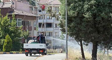 Karabük'te sinek ve haşereyle mücadele çalışmaları sürüyor