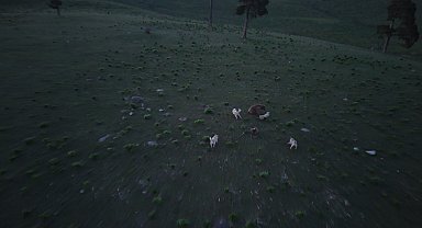 Kars'ta boz ayı ile köpeklerin kovalamacası dron kamerasına yansıdı