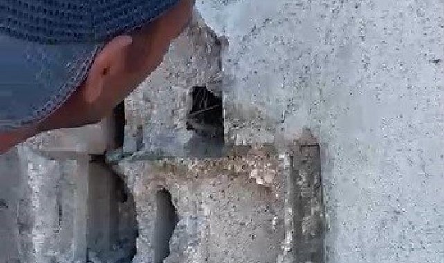 Kars'ta sıva altından gelen ses hayat kurtardı: Usta duvarı kırıp kuş yavrularını kurtardı