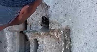 Kars'ta sıva altından gelen ses hayat kurtardı: Usta duvarı kırıp kuş yavrularını kurtardı