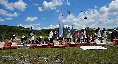 Kastamonu'da doğaya bin 200 kınalı keklik salındı