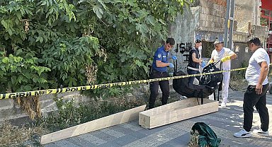 Kaybolan kedisini ararken ceset buldu