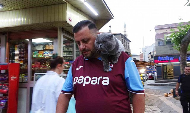 Kayıp kedi 'Tom' 4 gün sonra bulundu