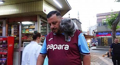 Kayıp kedi 'Tom' 4 gün sonra bulundu
