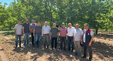 Kayısı rekolte tespit çalışmaları sürüyor