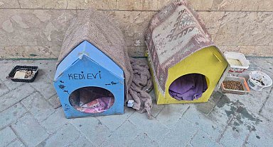 Kediler için yaptığı evler için vicdanlara seslendi, "Lütfen dokunmayalım"
