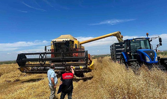 Kırklareli'nde hasat döneminde biçerdöver denetim