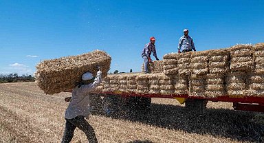 Kırklareli'nde saman balyası mesaisi: Günde 500 balya taşıyorlar