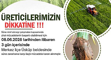 Kırklareli'nde süne alarmı: Üreticilere 3 günlük ilaçlama çağrısında bulunuldu
