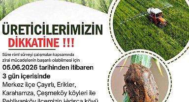 Kırklareli'nde süne zararlısına karşı ilaçlı mücadele kararı