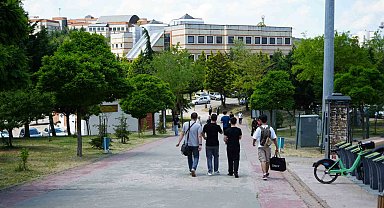 Kocaeli Üniversitesi'nde sahipsiz köpekler azaldı, öğrencilerin endişesi bitmedi