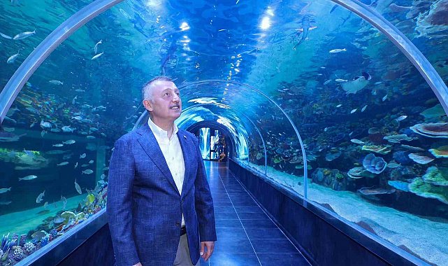 Kocaeli'de dev akvaryum kapılarını açıyor