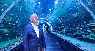 Kocaeli'de dev akvaryum kapılarını açıyor