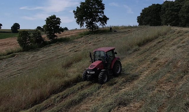 Kocaeli'de süt otu çiftçiye can suyu oldu