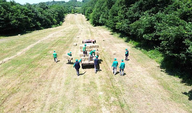 Kocaeli'deki doğal yaşam parkı Ormanya kendi yemini üretiyor
