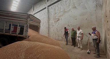 Koçarlı'da ilk hububat alımı gerçekleştirildi
