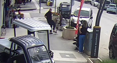 Köpeğine saldıran kediye tekme attı, o anlar kameraya yansıdı