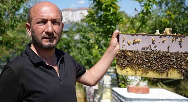 Korkmadan temas edebildiği arılarla 5 senedir birlikte yaşıyor