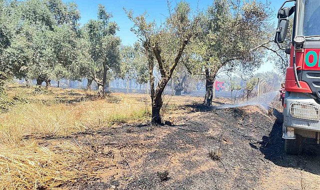 Korkutan arazi yangını 1 saatte kontrol altına alındı