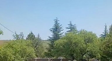 Koruma altındaki dağ keçileri Harput mezarlıklarında görüntülendi