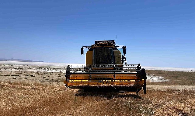 Kulu'da arpa hasadı başladı