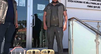 Kuş denetiminde kafeslerdeki keklik ve papağanlara el konuldu