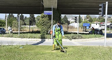 Kuşadası'nda yeşil alanlar bakıma alındı