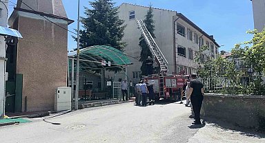 Kütahya'da ağaca takılan serçe itfaiye ekiplerince kurtarıldı